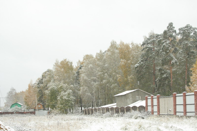 IMG_0769.jpg1.jpg"%20height="533"%20width="800